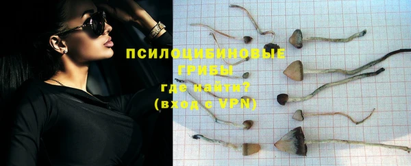 тгк Гусь-Хрустальный