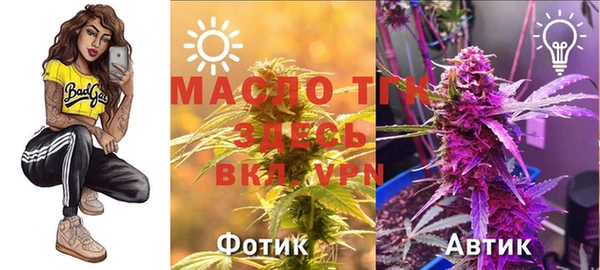хмурый Вязьма