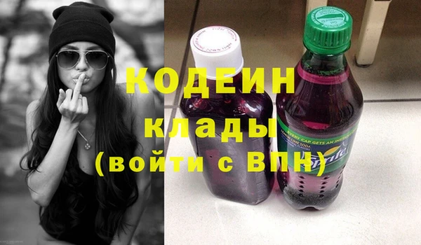 амф Гусев