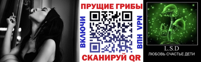наркошоп Райчихинск Псилоцибиновые грибы мицелий